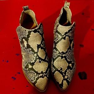 Snake skin boots (booties)